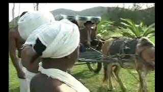 Kā Negras da senzala