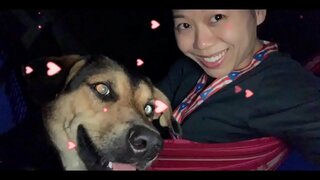 VLADA JE VAŠ SOVRAŽNIK &amp;amp; BODO k. VSE NAS, ČE NE UKREPAMO ZDAJ! STRMOGLAVLJENJE SVOJO GOVTS &amp;amp; prižgejo VSE 5G STOLPI ZDAJ, PREDEN bo k.S VSE NAS!!